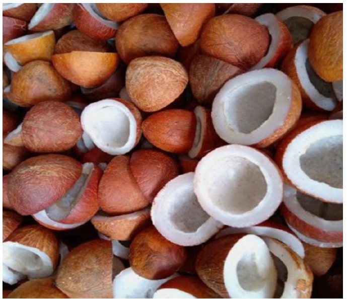 Premium Indonesian Copra (Dried Coconut Kernel)